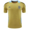 Oficiální Fotbalový Dres Argentina Pre-Match 2024 Žlutá pro Muži